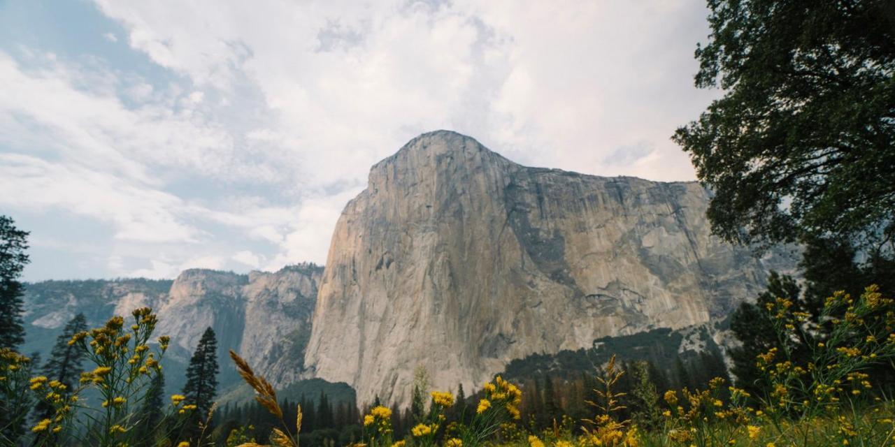 Autocamp Yosemite Ξενοδοχείο Midpines Εξωτερικό φωτογραφία